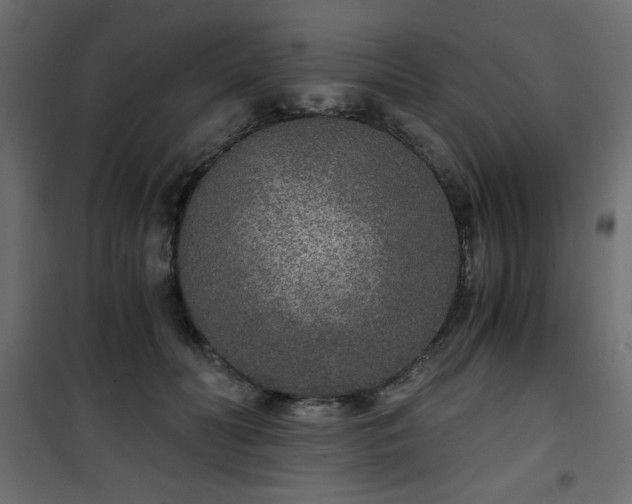 X0000101430606200807141243