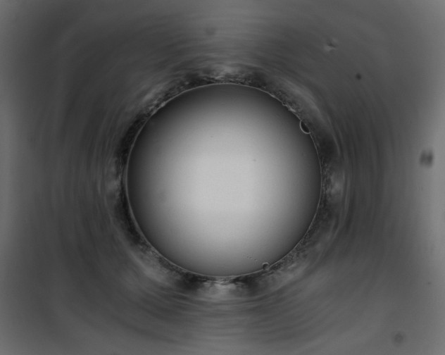 X0000101430607200807141243