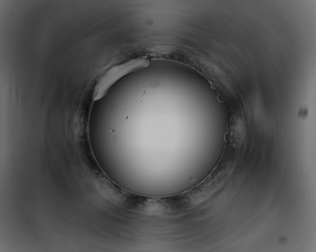 X0000101430608200807141243