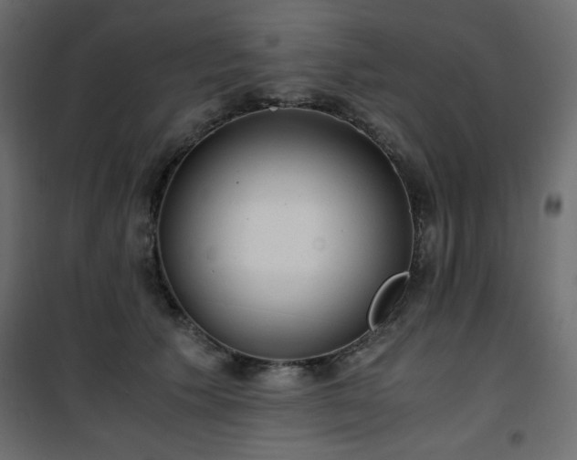 X0000101430609200807141243