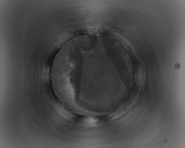 X0000101430610200807141243