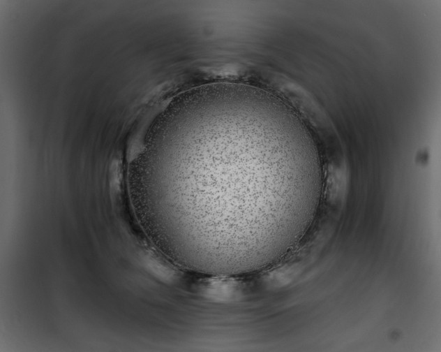 X0000101430612200807141243