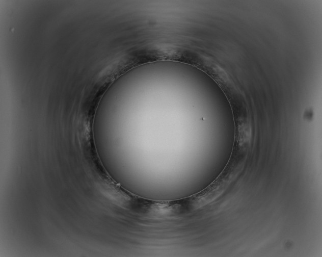 X0000101430613200807141243