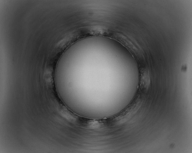 X0000101430616200807141243