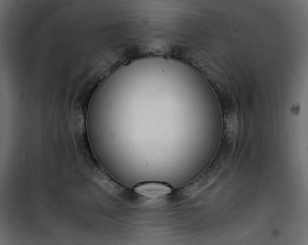 X0000101430617200807141243