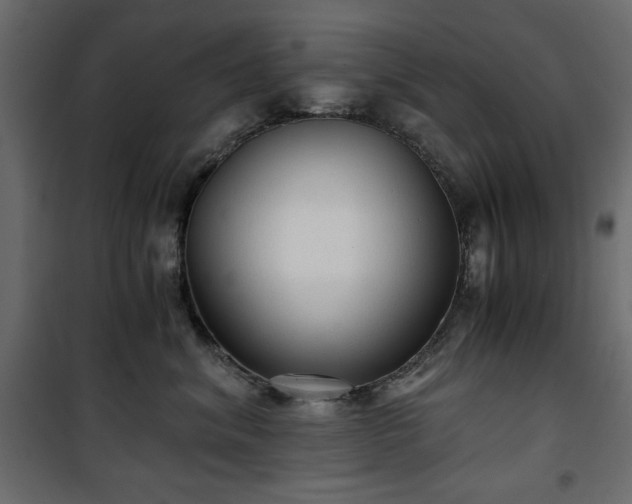 X0000101430620200807141243