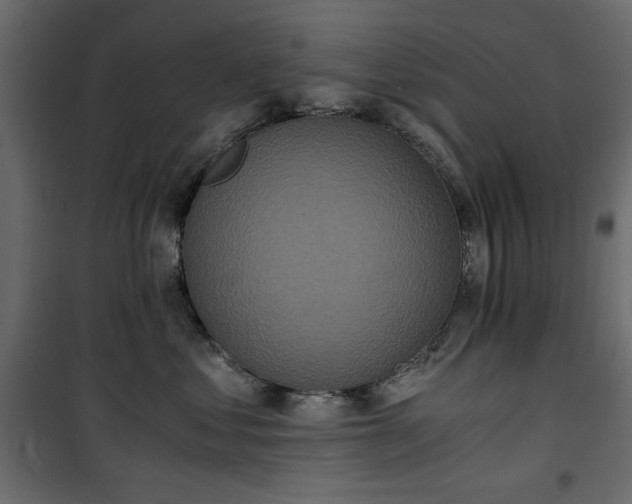 X0000101430621200807141243