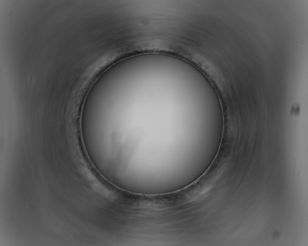 X0000101430625200807141242
