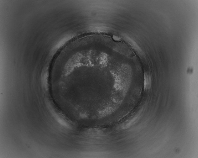X0000101430627200807141242