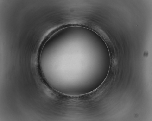 X0000101430628200807141242