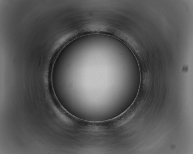 X0000101430629200807141242