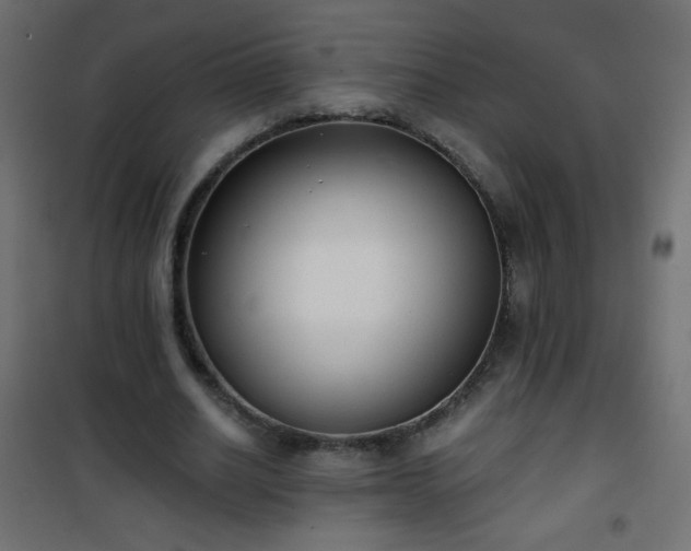 X0000101430630200807141242