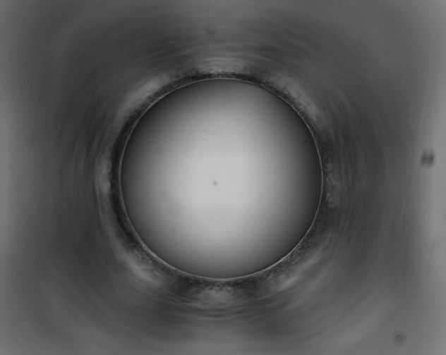 X0000101430631200807141242