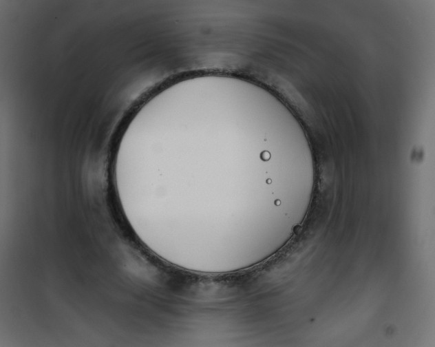 X0000101430632200807141242