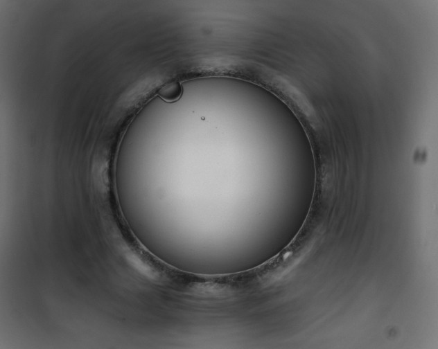 X0000101430633200807141242
