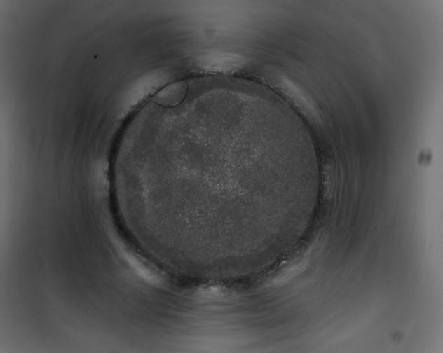 X0000101430634200807141242