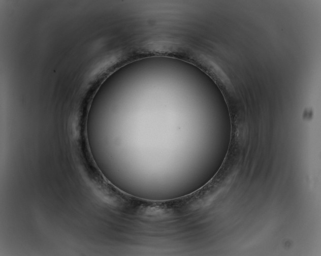X0000101430635200807141242