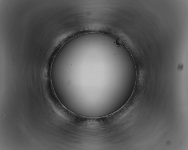 X0000101430636200807141242