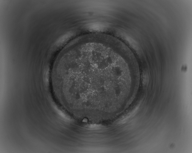 X0000101430637200807141242