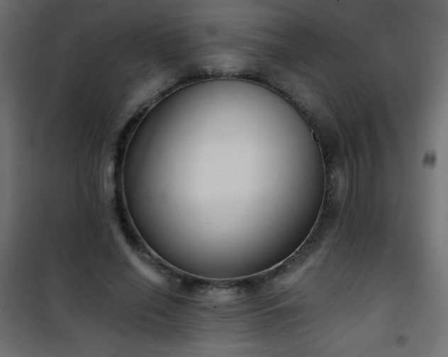 X0000101430638200807141242