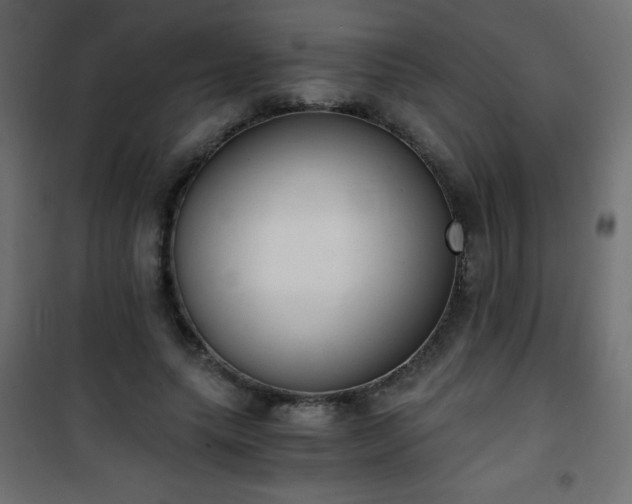 X0000101430639200807141242