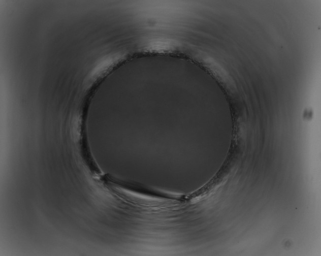 X0000101430640200807141242