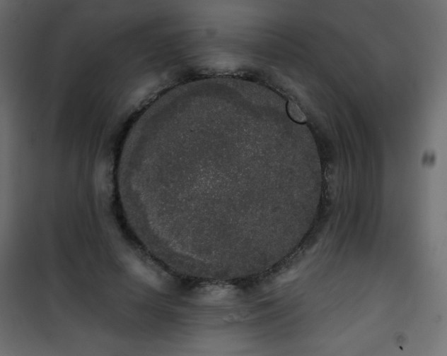X0000101430642200807141242