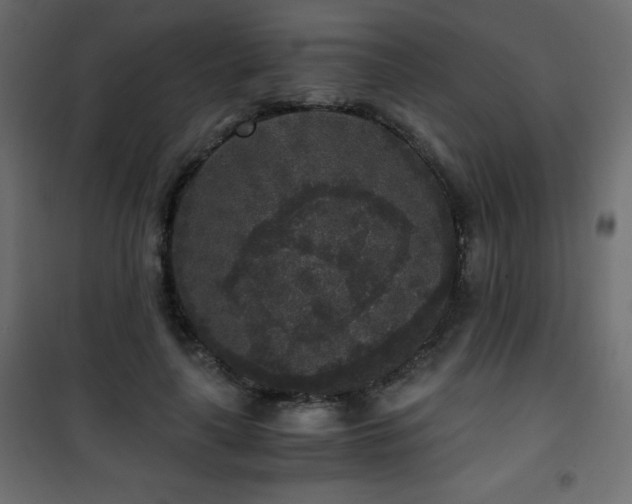 X0000101430643200807141242