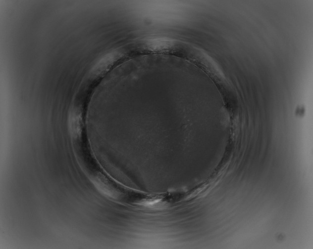 X0000101430644200807141242