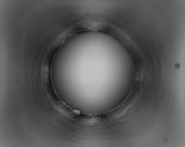 X0000101430646200807141242