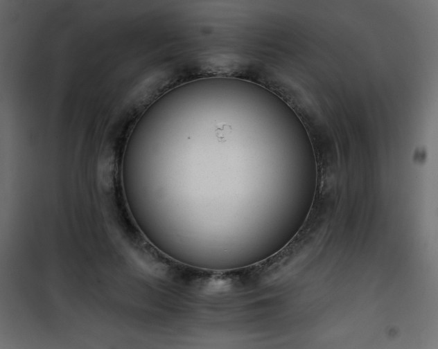 X0000101430647200807141242