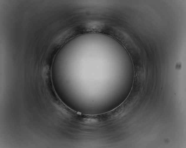 X0000101430649200807141242
