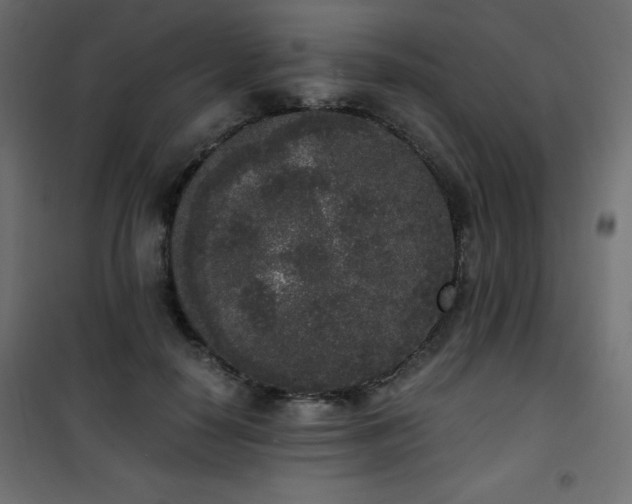 X0000101430650200807141242