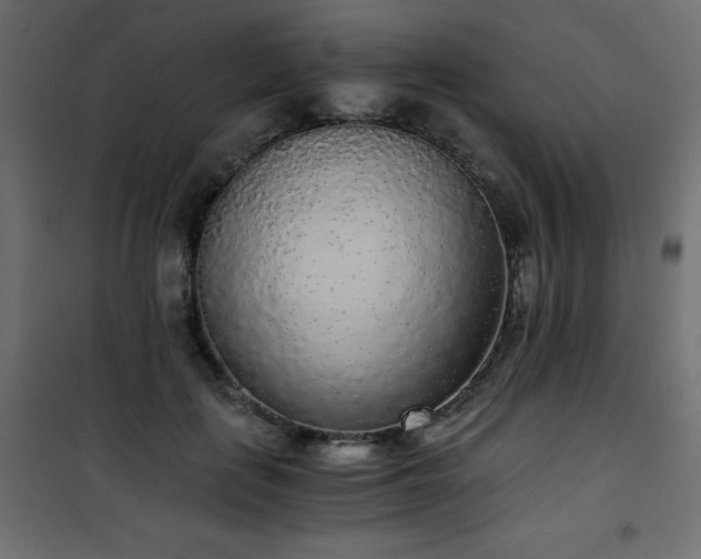 X0000101430651200807141242