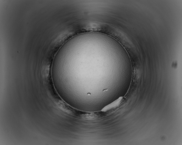 X0000101430652200807141242