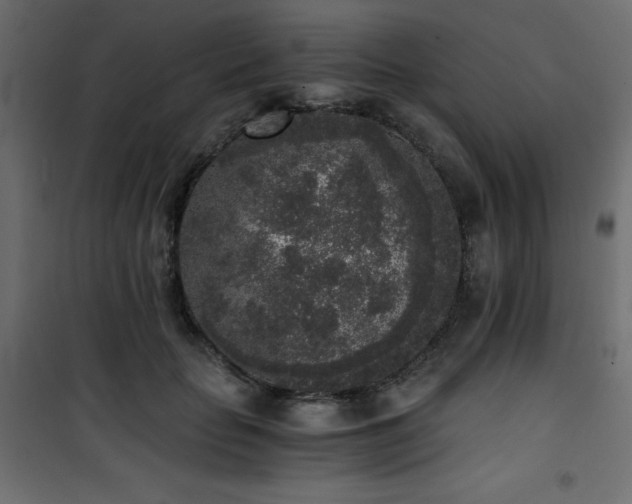 X0000101430653200807141243