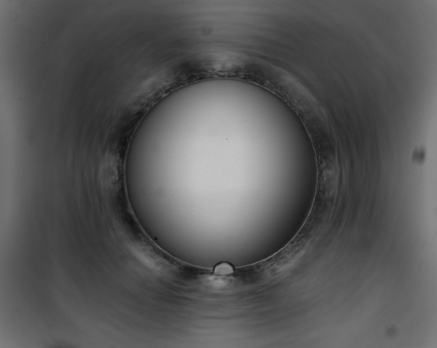 X0000101430654200807141243