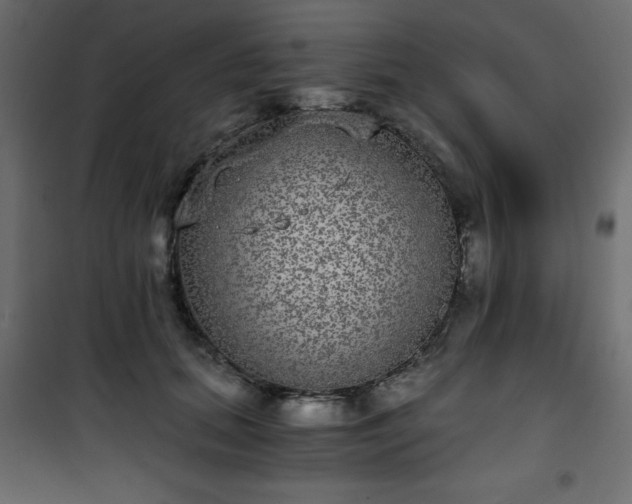 X0000101430655200807141243