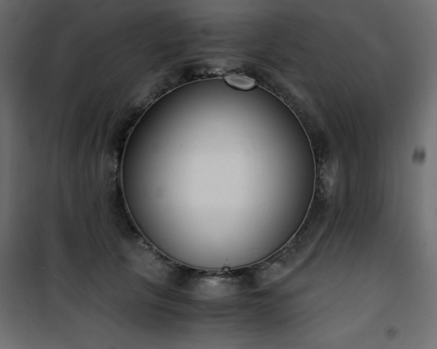 X0000101430657200807141243