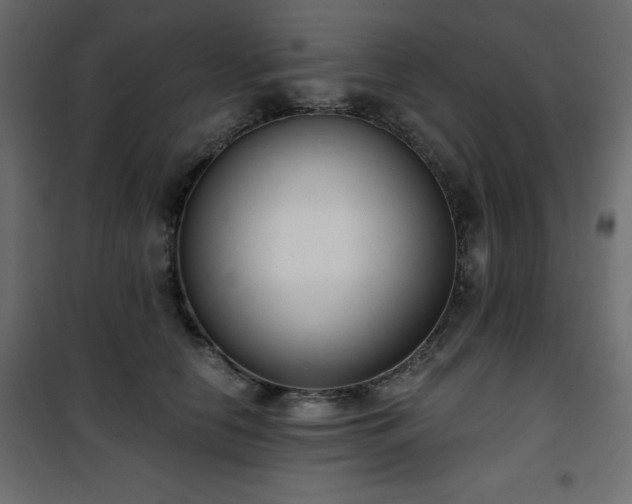 X0000101430658200807141243