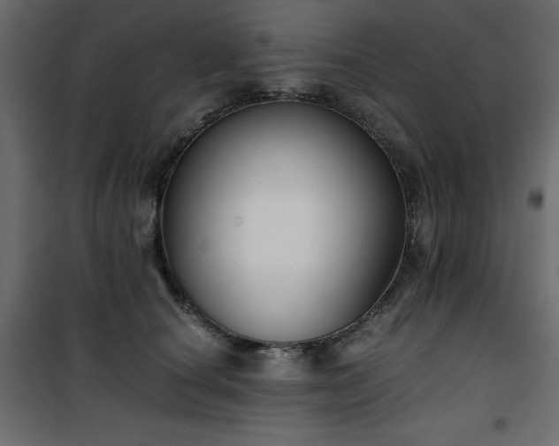 X0000101430660200807141243