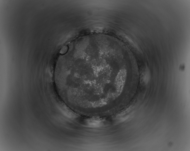 X0000101430661200807141243