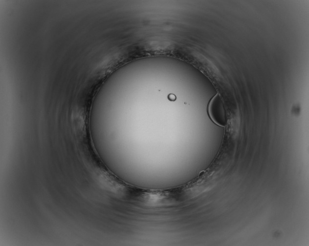 X0000101430662200807141243