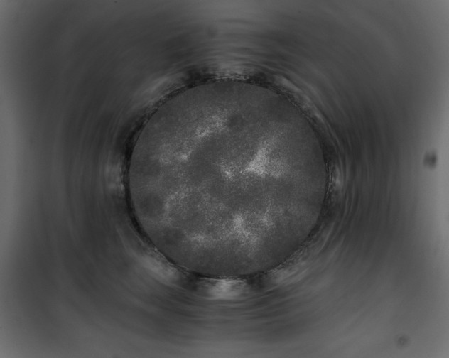 X0000101430663200807141243