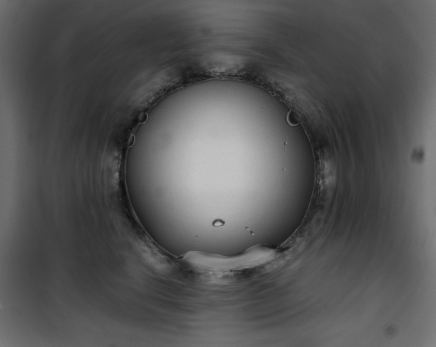X0000101430664200807141243
