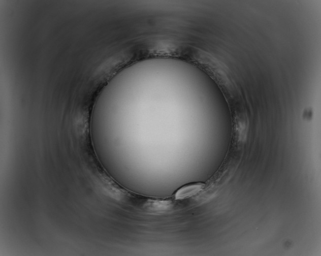 X0000101430665200807141243