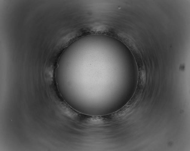 X0000101430668200807141243