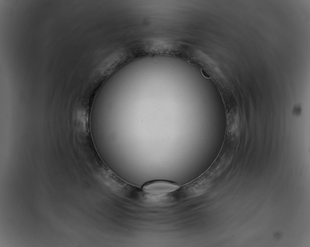X0000101430669200807141243