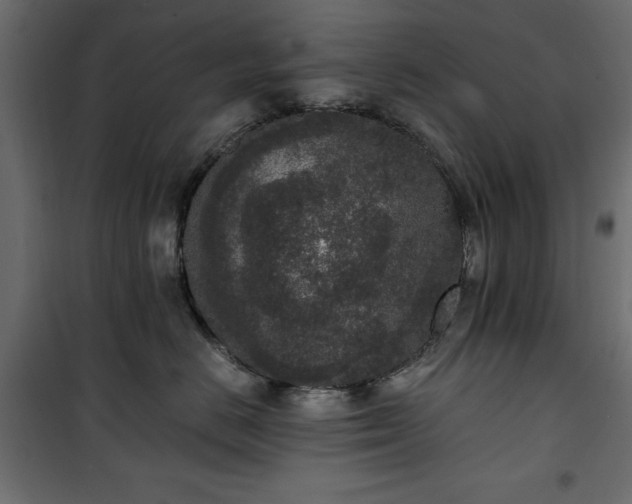 X0000101430670200807141243