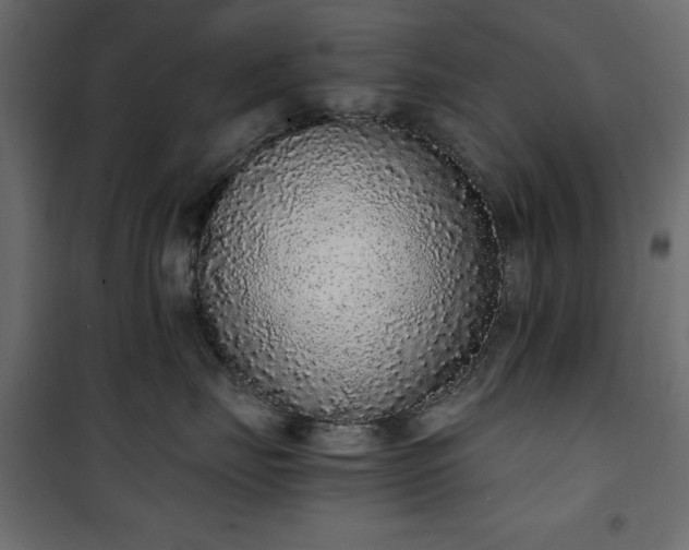 X0000101430671200807141243